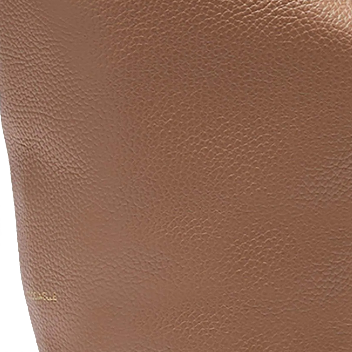 Coccinelle Borsa a spalla Fernanda Large Skin - 4 Coccinelle Borsa a spalla Fernanda Large Skin - 4