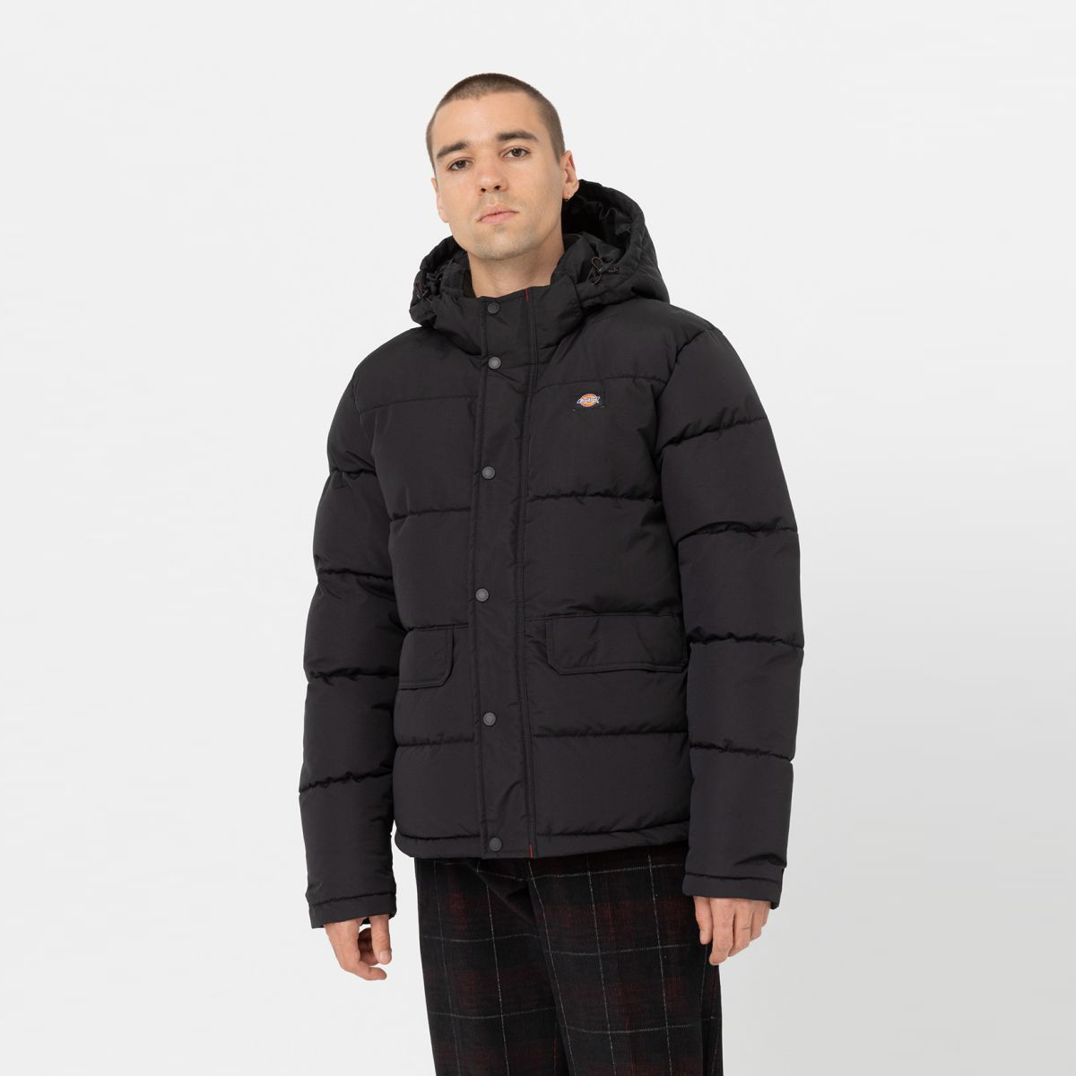 Dickies Piumino con cappuccio Glacier View Black - 1