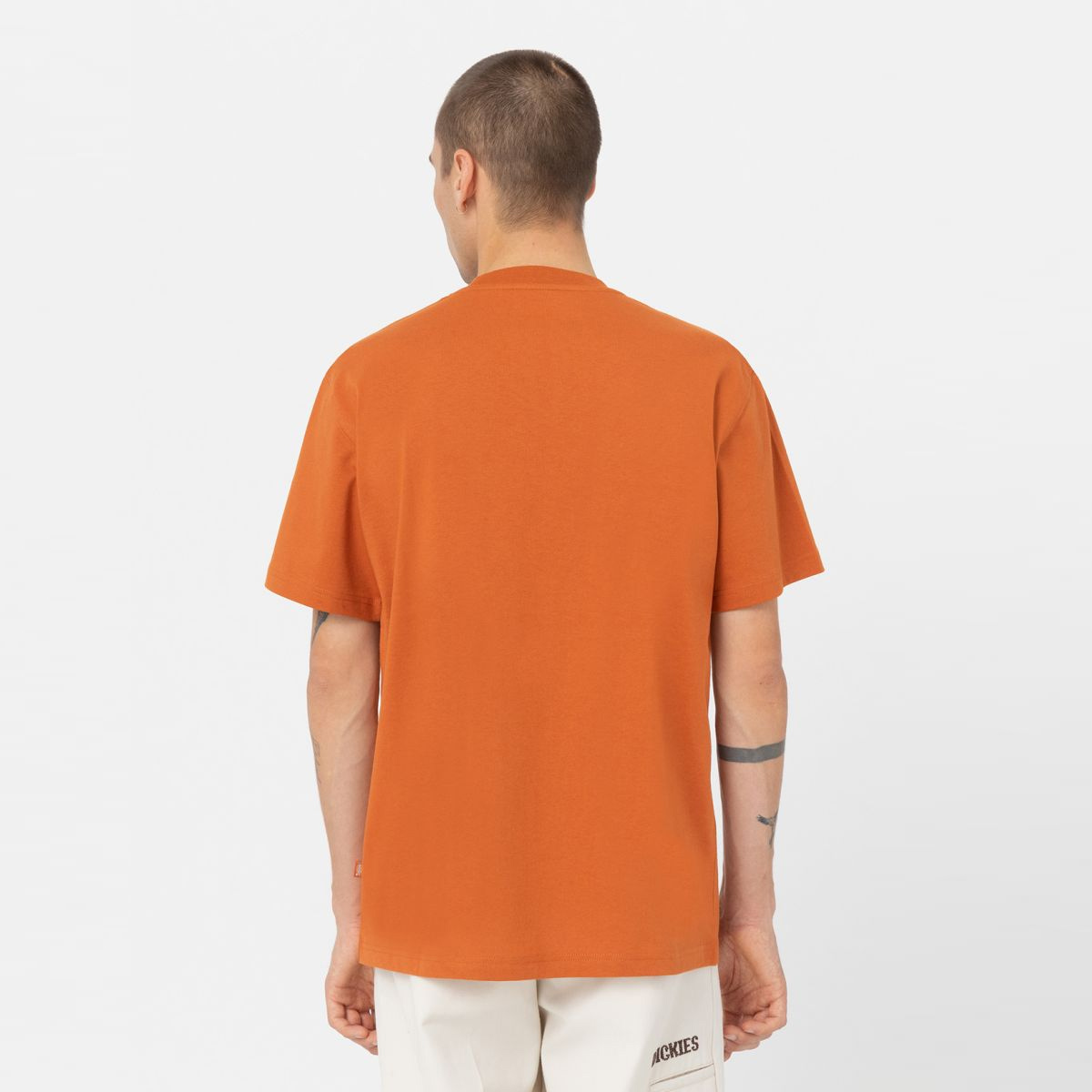Dickies T-Shirt Summerdale Bombay Brown - 2