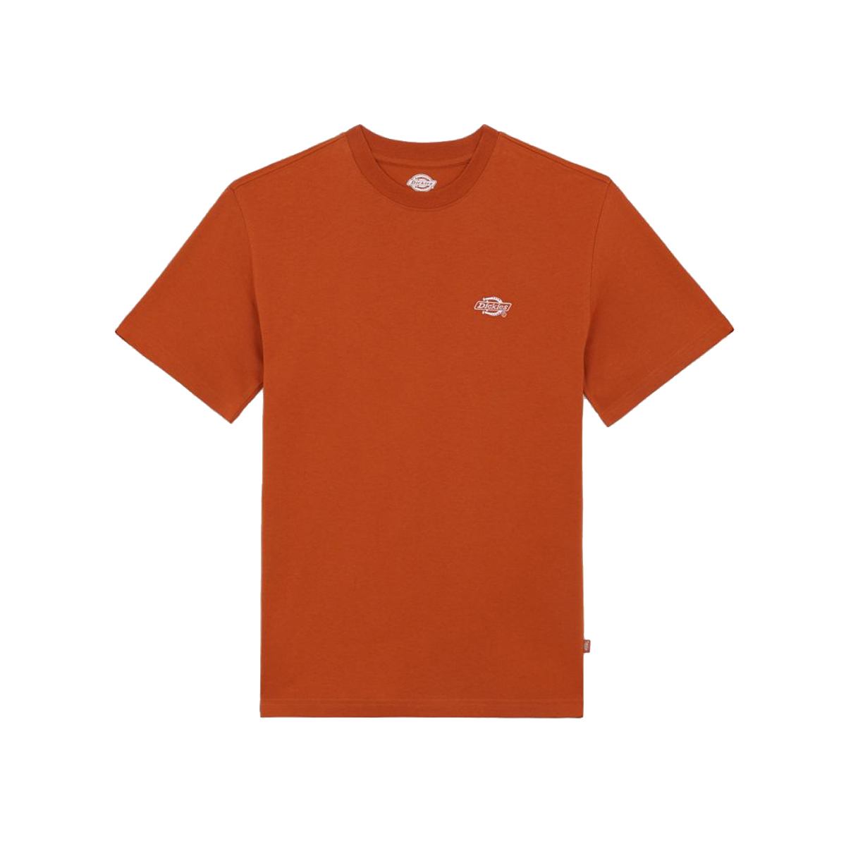 Dickies T-Shirt Summerdale Bombay Brown - 3