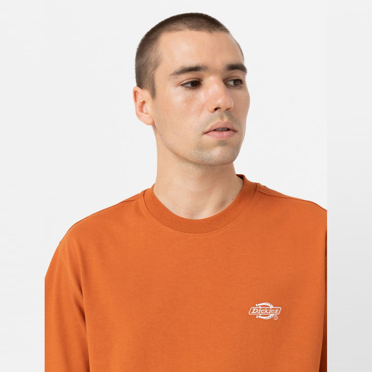 Dickies T-Shirt Summerdale Bombay Brown - 6