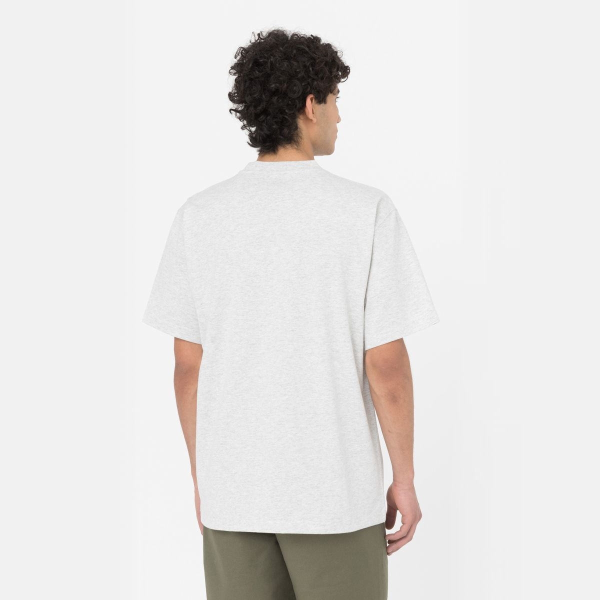 Dickies T-Shirt Summerdale Light Grey - 2 Dickies T-Shirt Summerdale Light Grey - 2