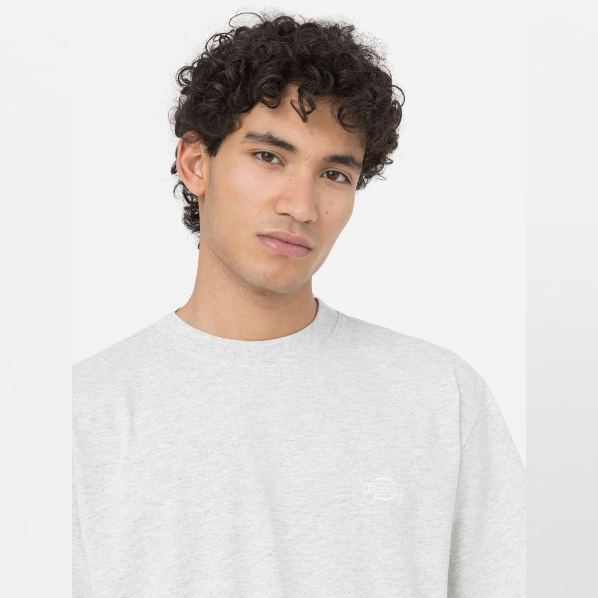 Dickies T-Shirt Summerdale Light Grey - 4 Dickies T-Shirt Summerdale Light Grey - 4