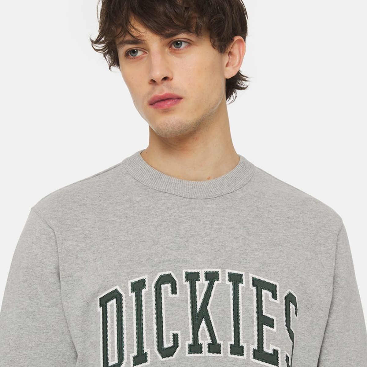 Dickies Felpa Atkin Grey Dark Forest - 6 Dickies Felpa Atkin Grey Dark Forest - 6