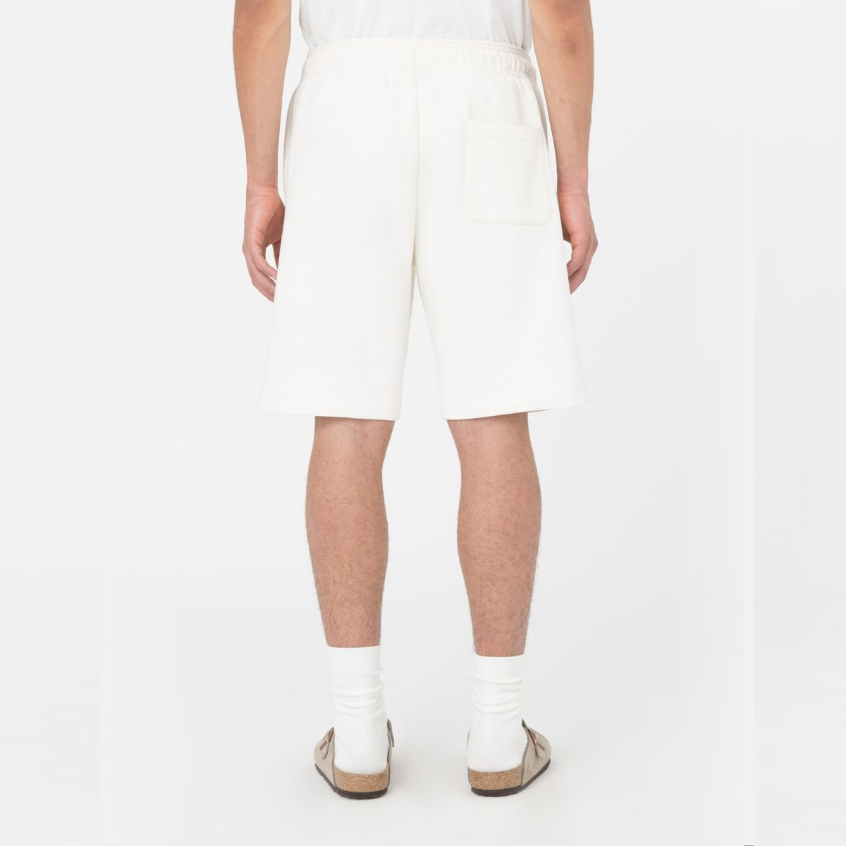 Dickies Shorts Mapleton Ecru - 3