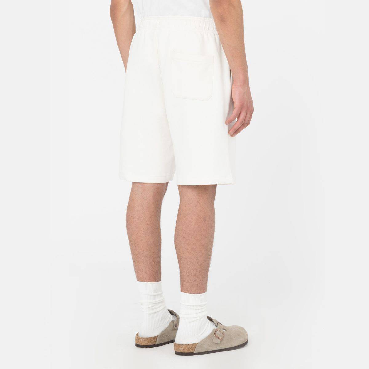 Dickies Shorts Mapleton Ecru - 5