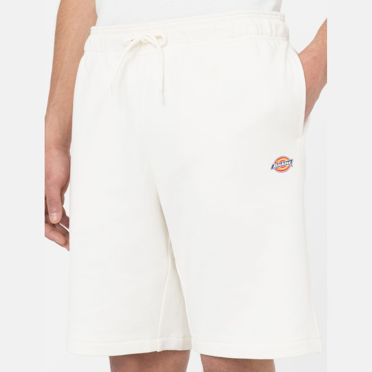 Dickies Shorts Mapleton Ecru - 7