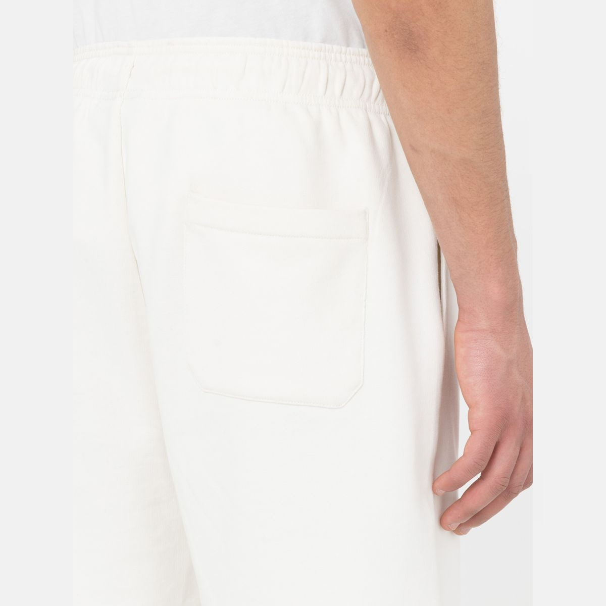 Dickies Shorts Mapleton Ecru - 8