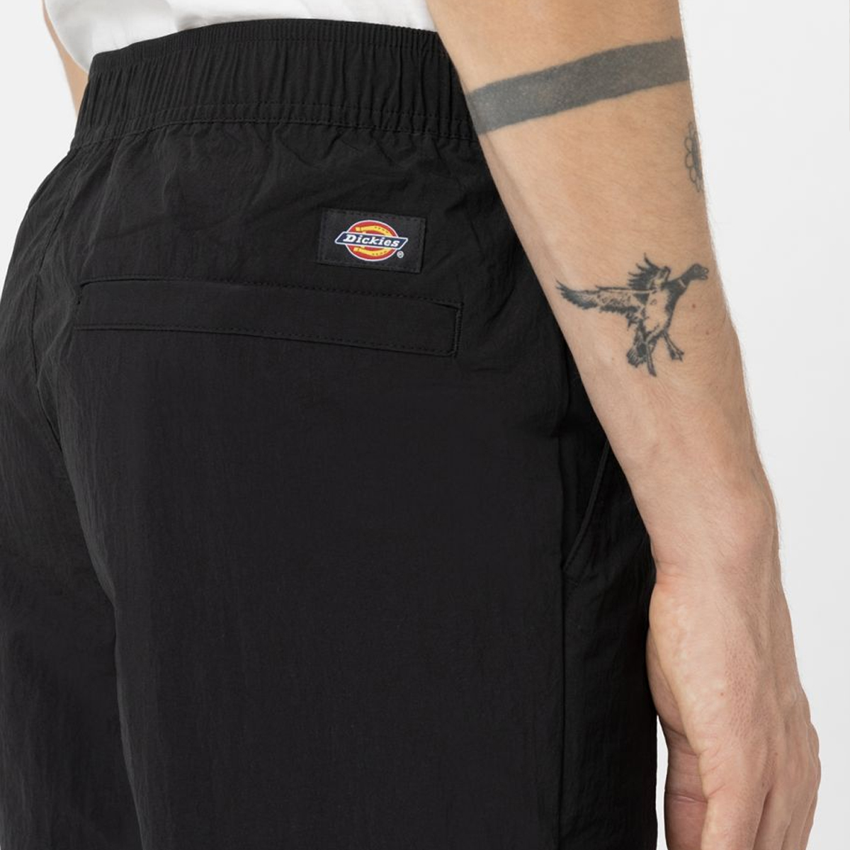 Dickies Pantaloni Cargo Jackson Black - 7 Dickies Pantaloni Cargo Jackson Black - 7