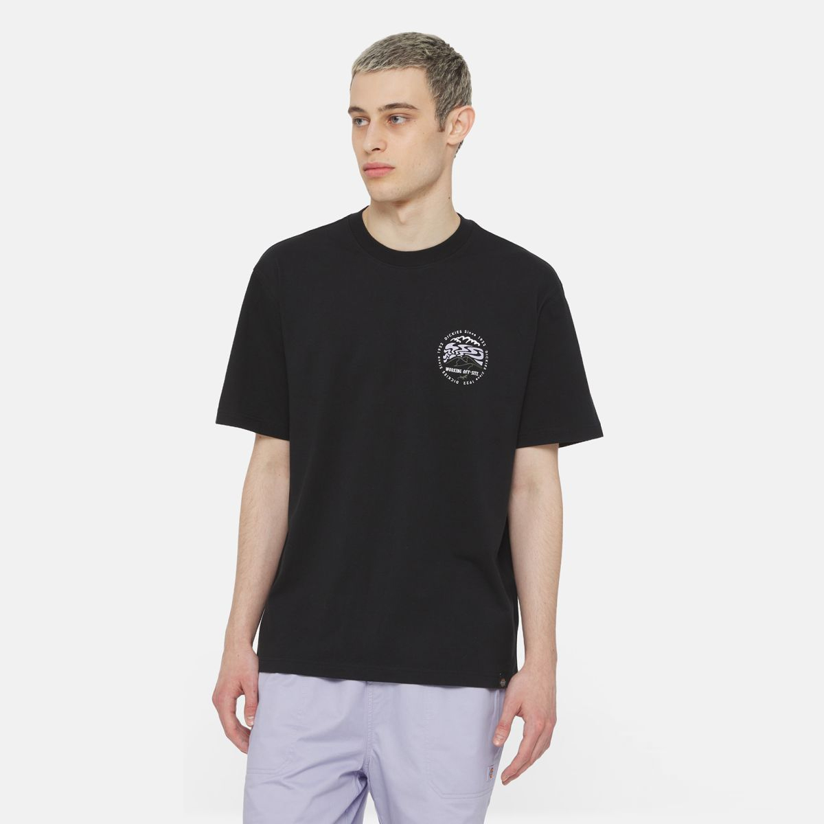 Dickies T-Shirt Stanardsville Black - 2 Dickies T-Shirt Stanardsville Black - 2
