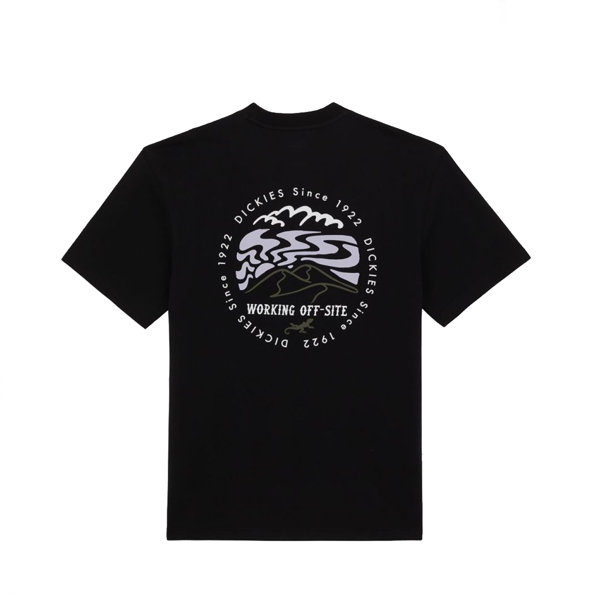 Dickies T-Shirt Stanardsville Black - 3 Dickies T-Shirt Stanardsville Black - 3