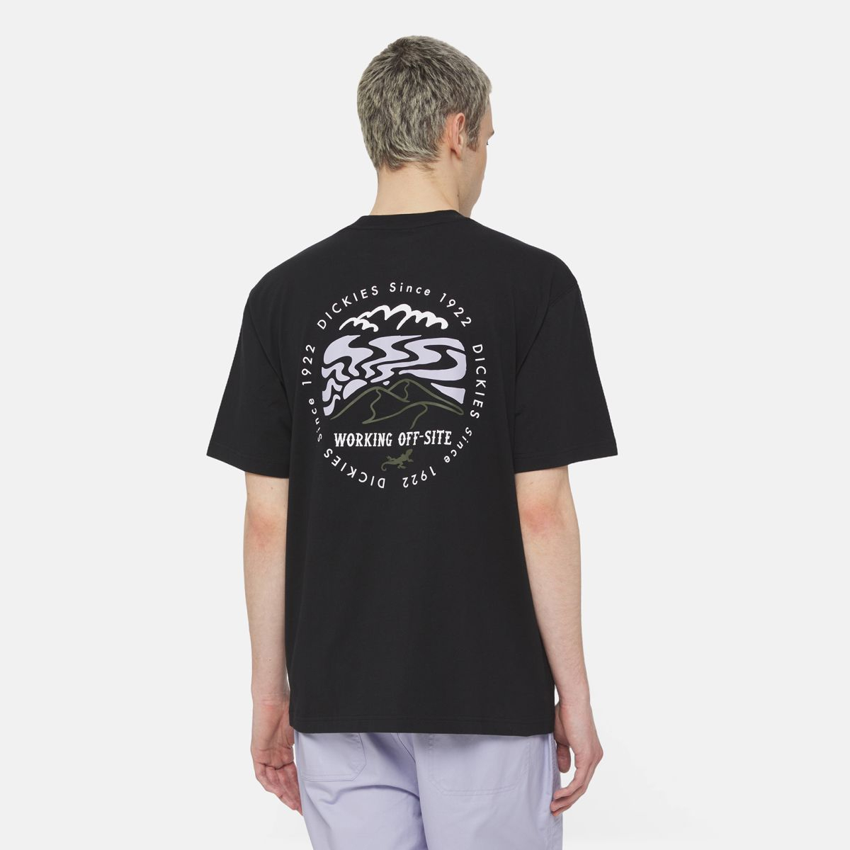 Dickies T-Shirt Stanardsville Black - 4 Dickies T-Shirt Stanardsville Black - 4