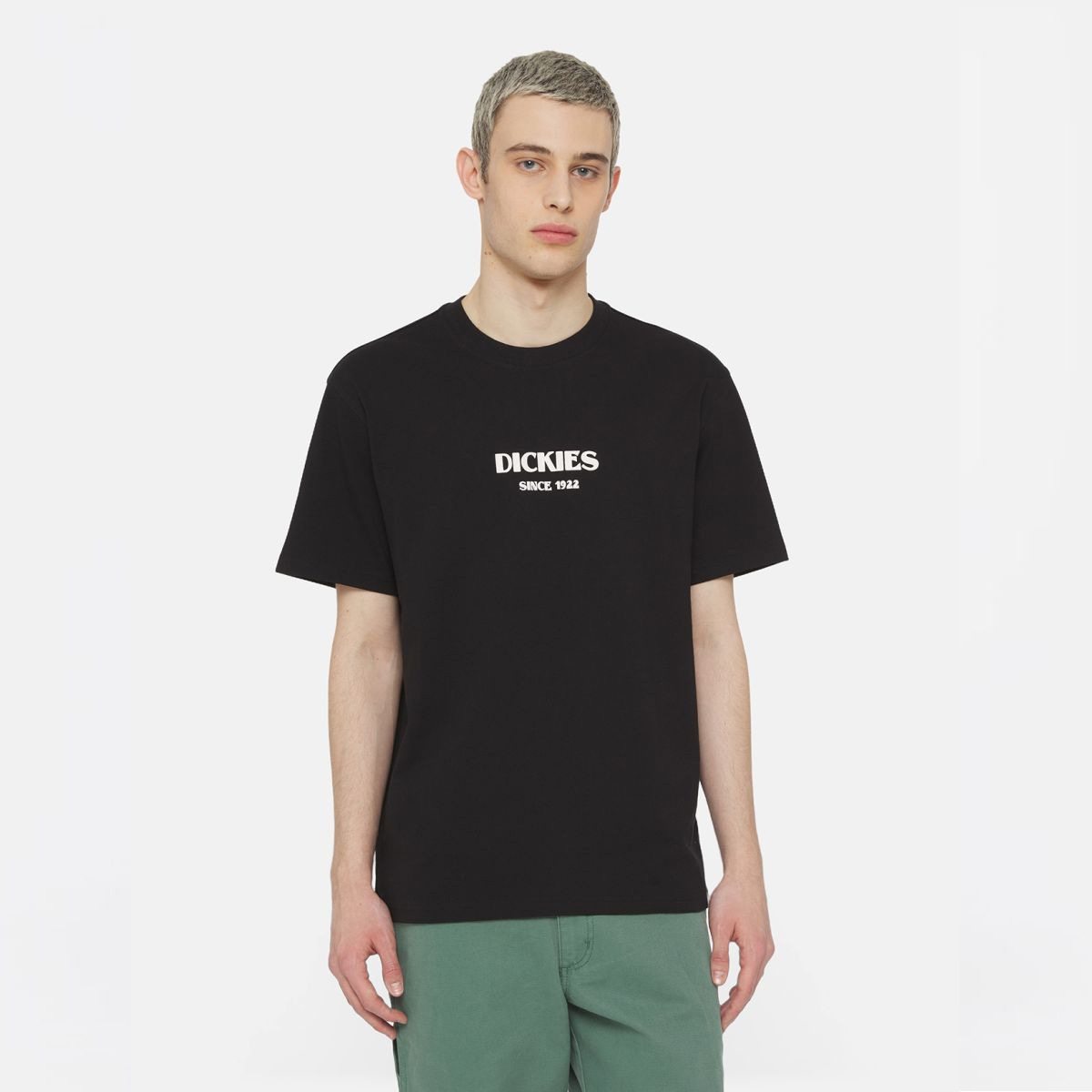 Dickies T-Shirt Max Meadows Black - 3 Dickies T-Shirt Max Meadows Black - 3