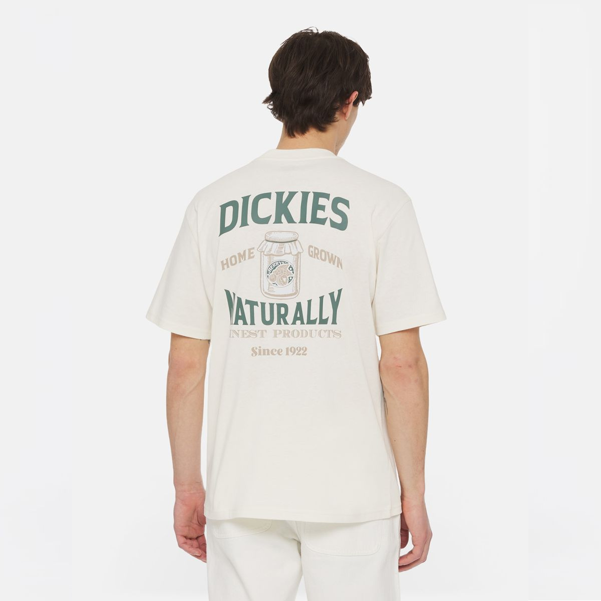 Dickies T-Shirt Elliston Cloud - 4 Dickies T-Shirt Elliston Cloud - 4