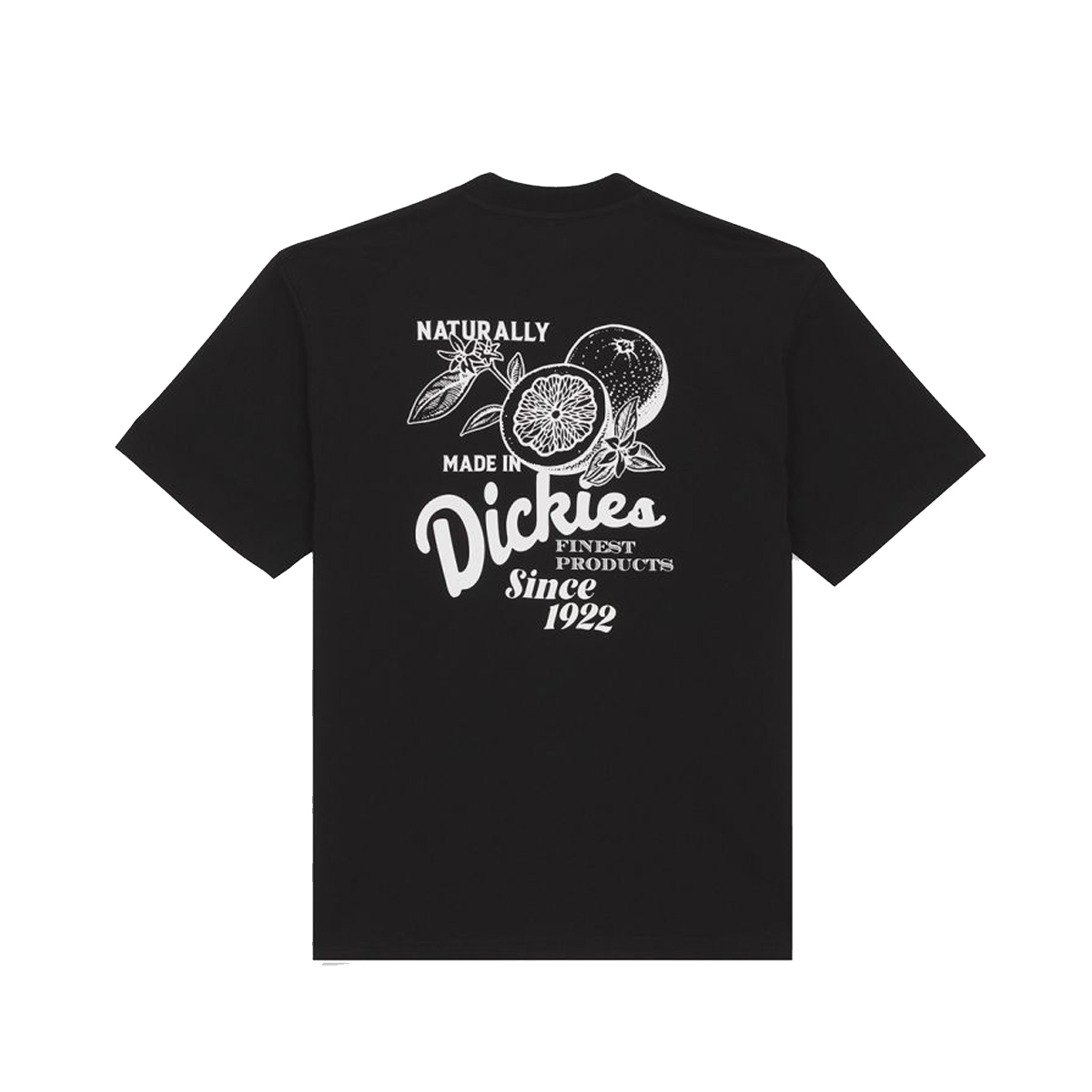 Dickies T-Shirt Raven Black - 2 Dickies T-Shirt Raven Black - 2