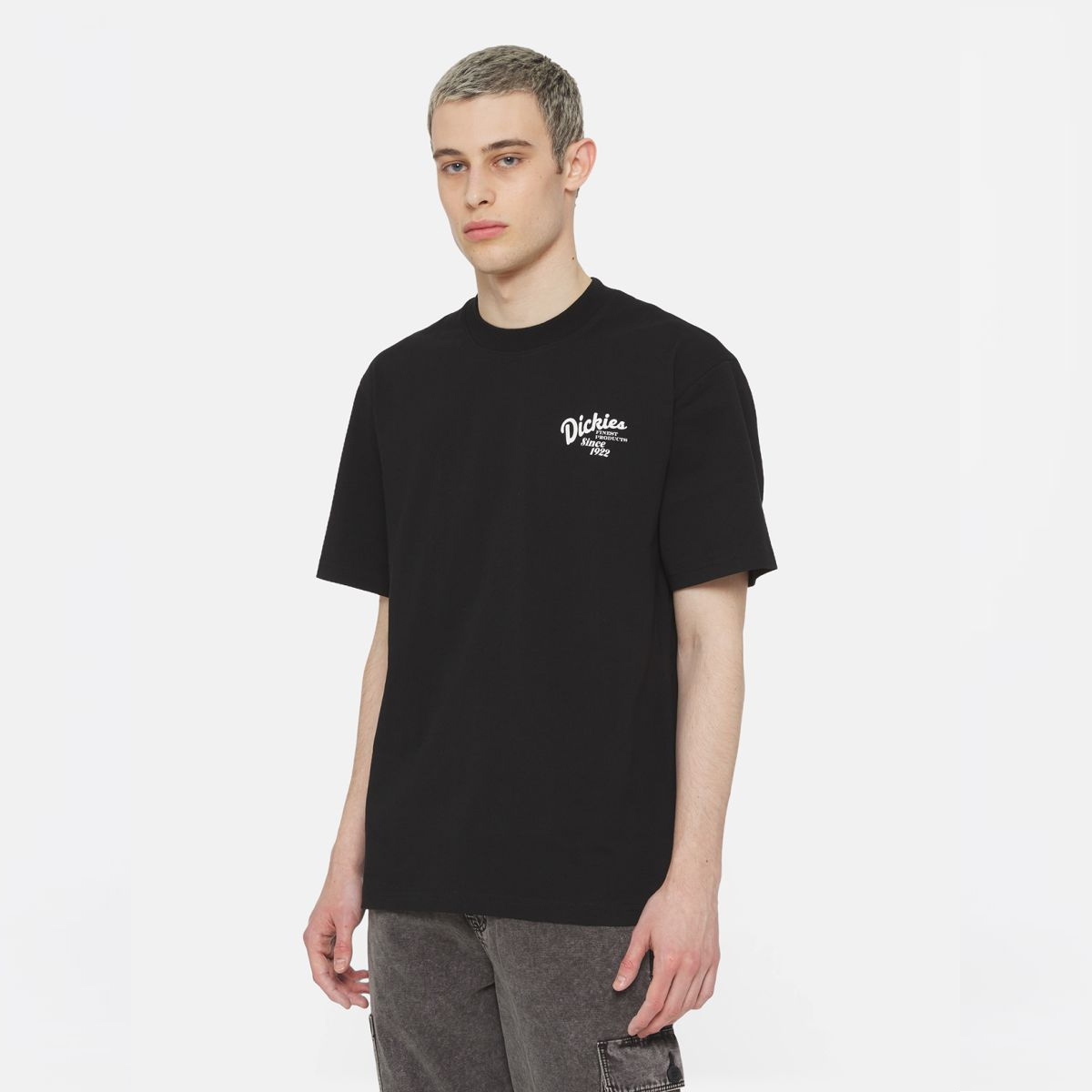 Dickies T-Shirt Raven Black - 3 Dickies T-Shirt Raven Black - 3