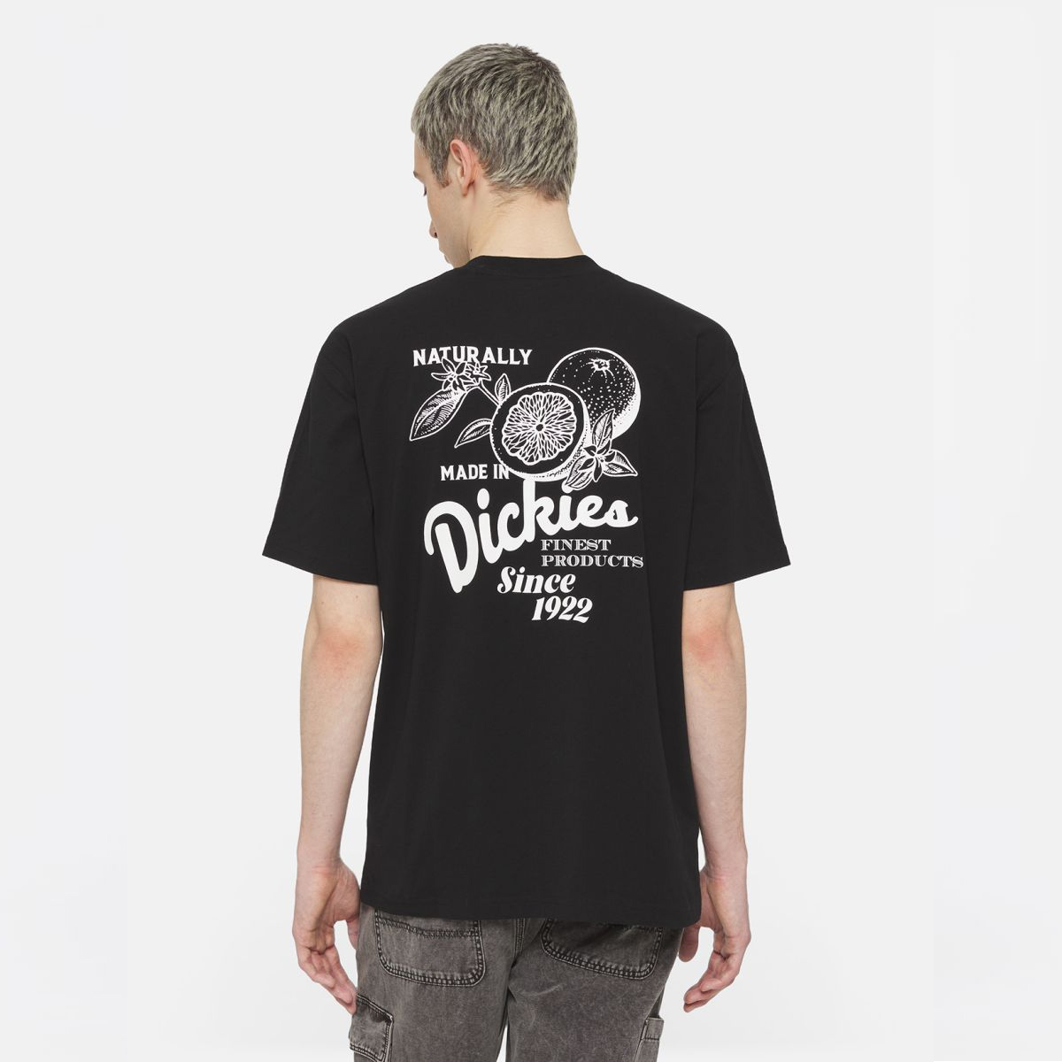 Dickies T-Shirt Raven Black - 4 Dickies T-Shirt Raven Black - 4