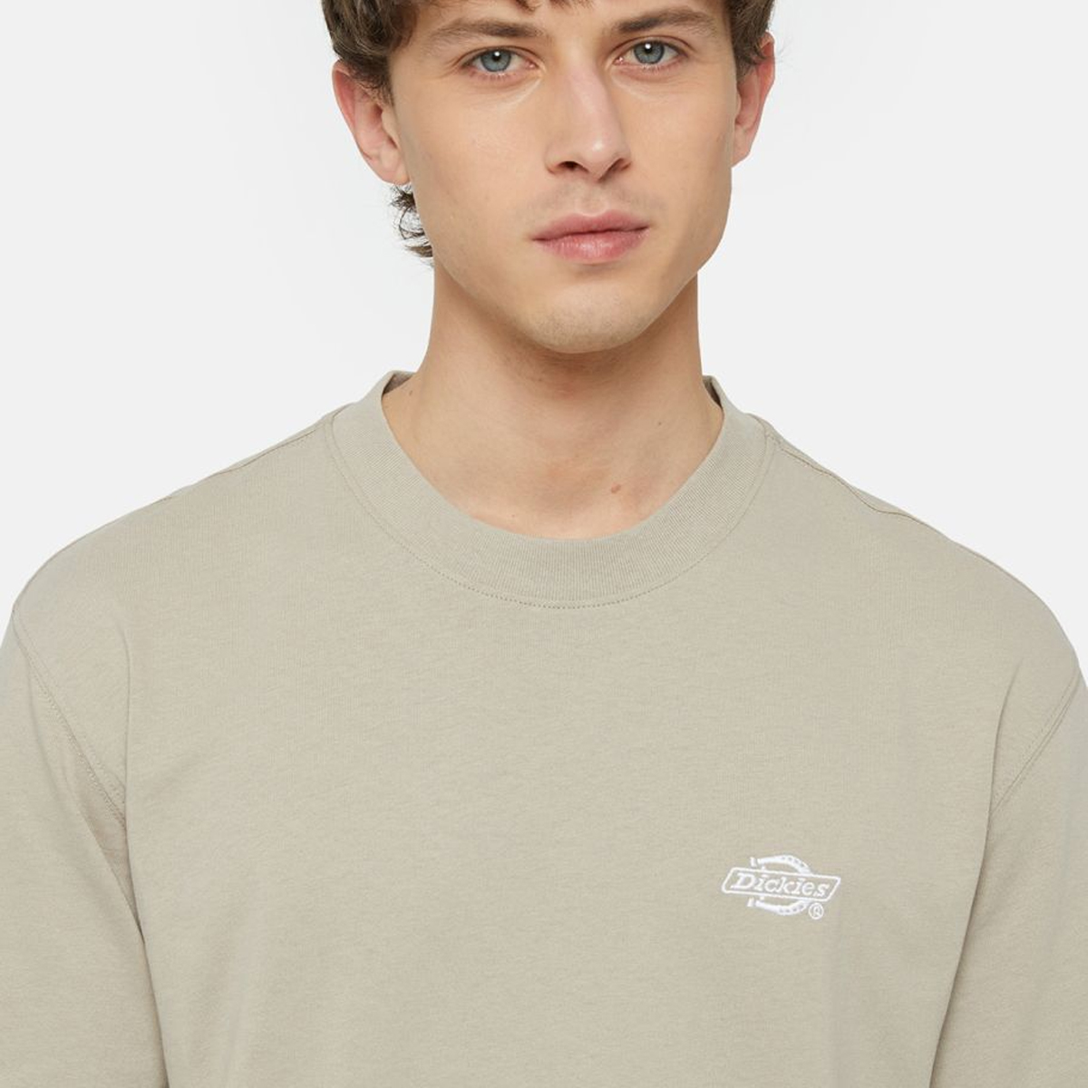 Dickies T-Shirt Summerdale Sandstone - 5 Dickies T-Shirt Summerdale Sandstone - 5