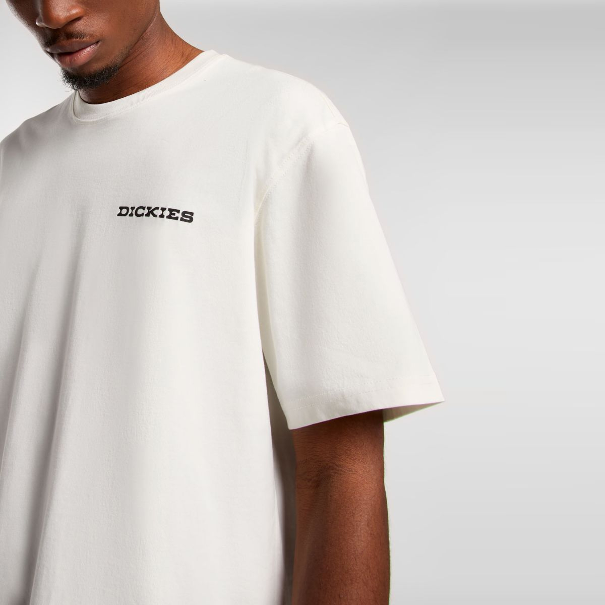 Dickies T-Shirt Slacks Landascape Egret - 5 Dickies T-Shirt Slacks Landascape Egret - 5