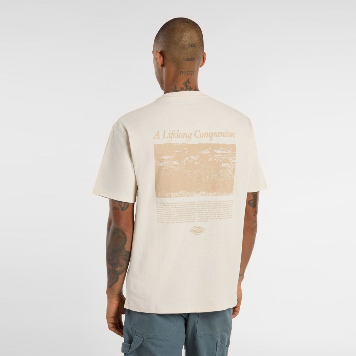 Dickies T-Shirt Companion Script Whitecap Gray - 2 Dickies T-Shirt Companion Script Whitecap Gray - 2