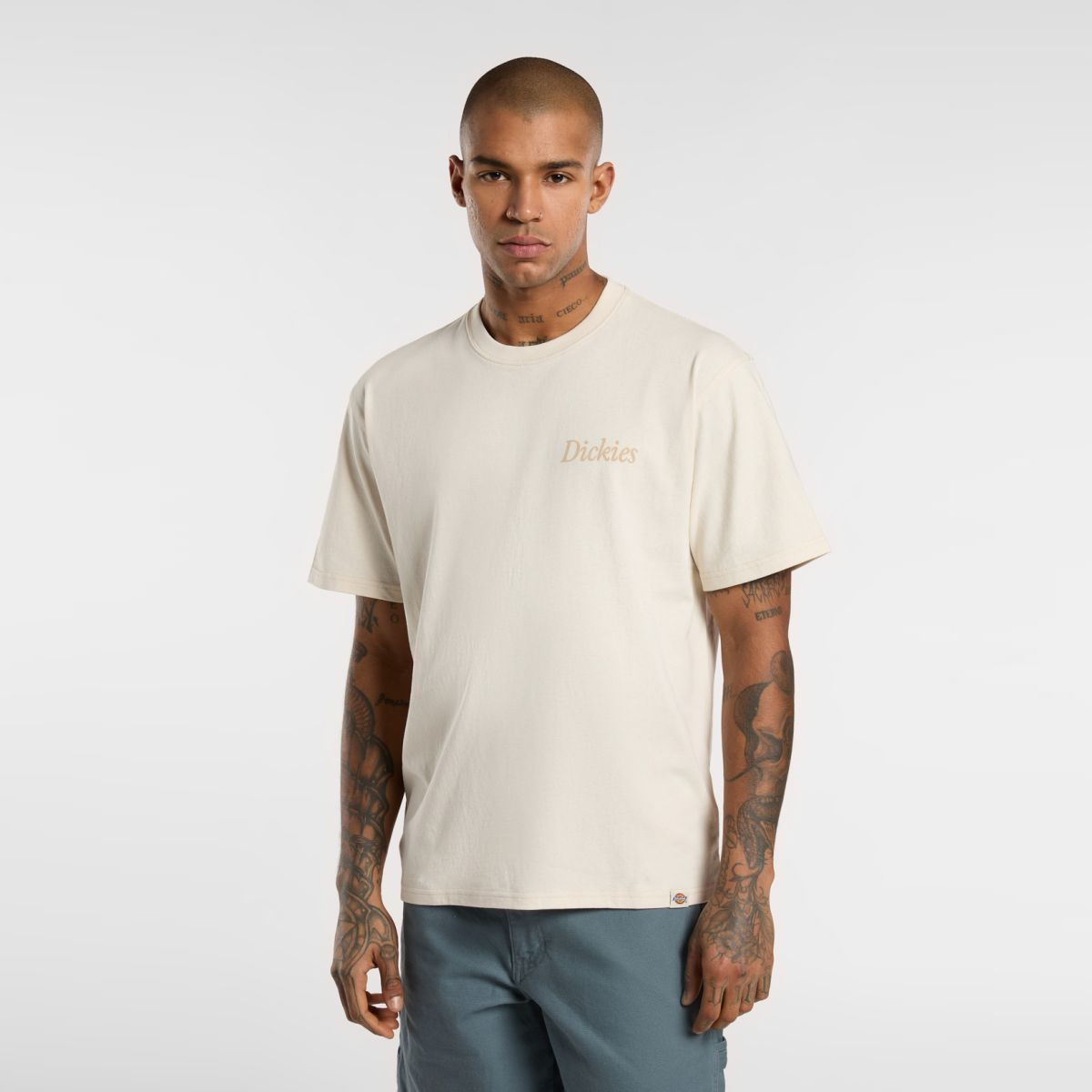 Dickies T-Shirt Companion Script Whitecap Gray - 3 Dickies T-Shirt Companion Script Whitecap Gray - 3