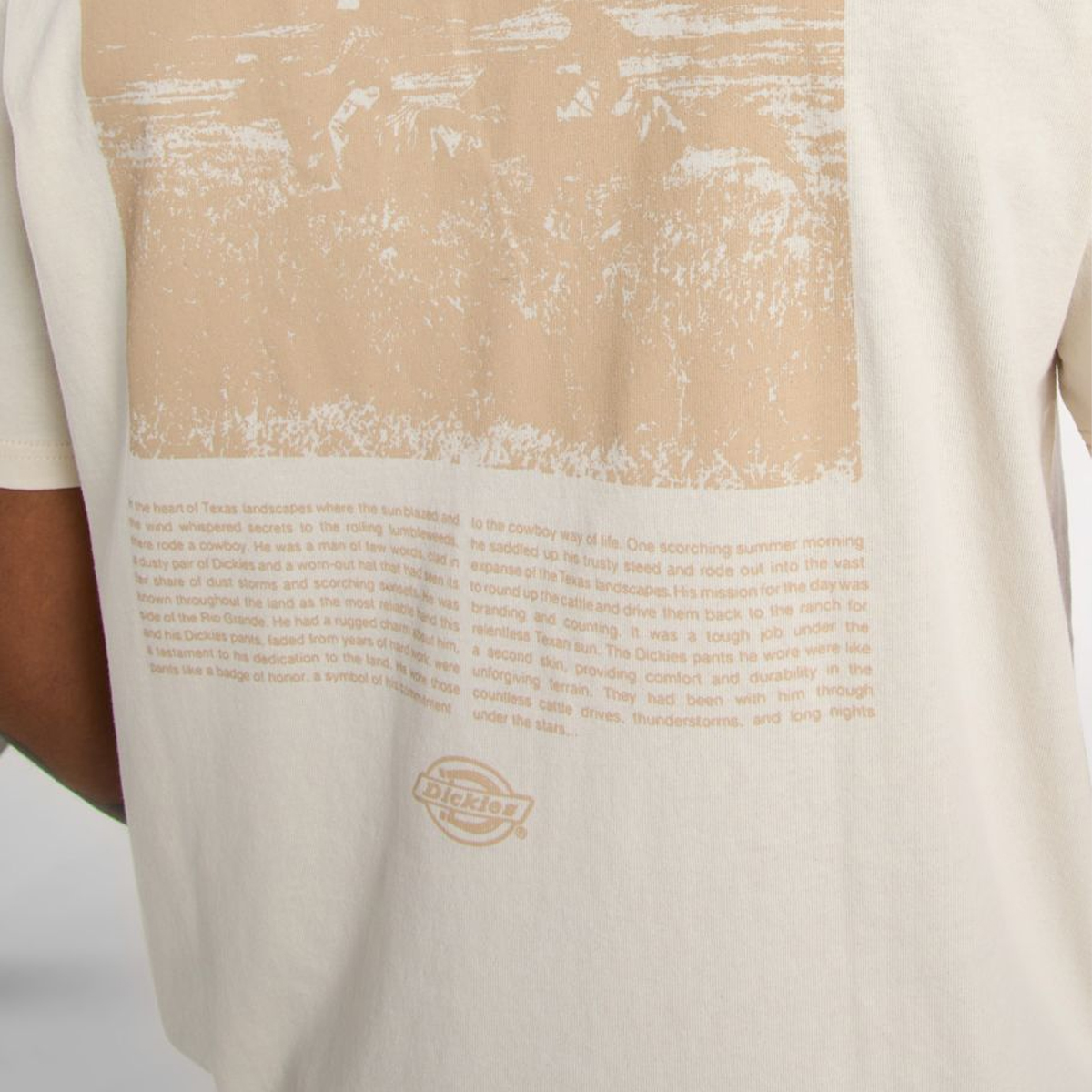 Dickies T-Shirt Companion Script Whitecap Gray - 7 Dickies T-Shirt Companion Script Whitecap Gray - 7