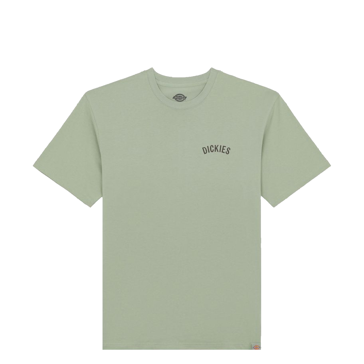Dickies T-Shirt Dickies Snake Iceberg Green - 1 Dickies T-Shirt Dickies Snake Iceberg Green - 1