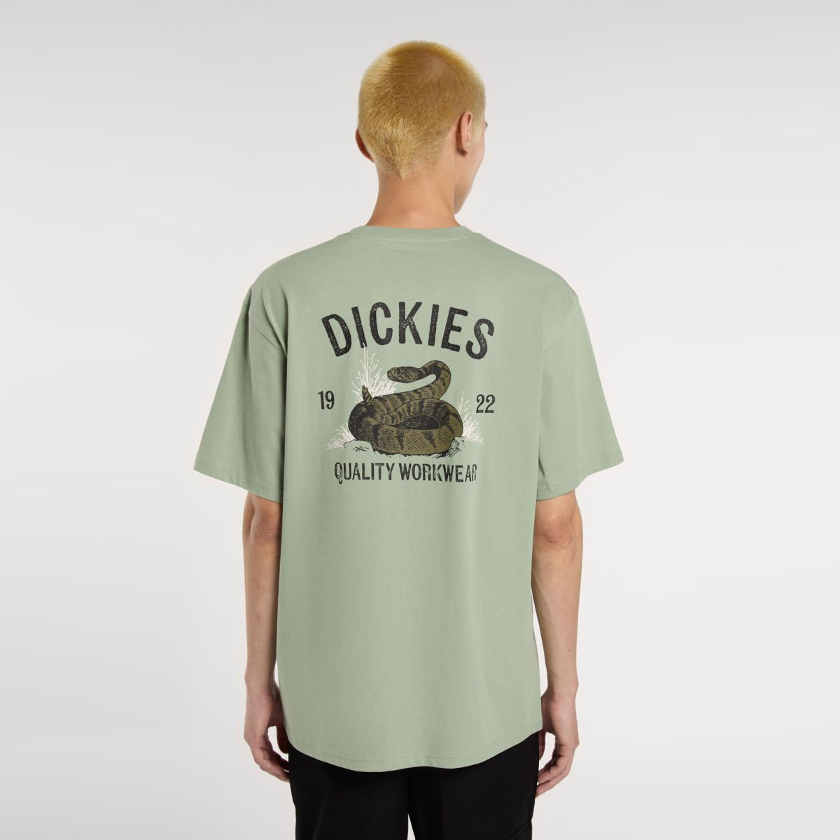 Dickies T-Shirt Dickies Snake Iceberg Green - 2 Dickies T-Shirt Dickies Snake Iceberg Green - 2