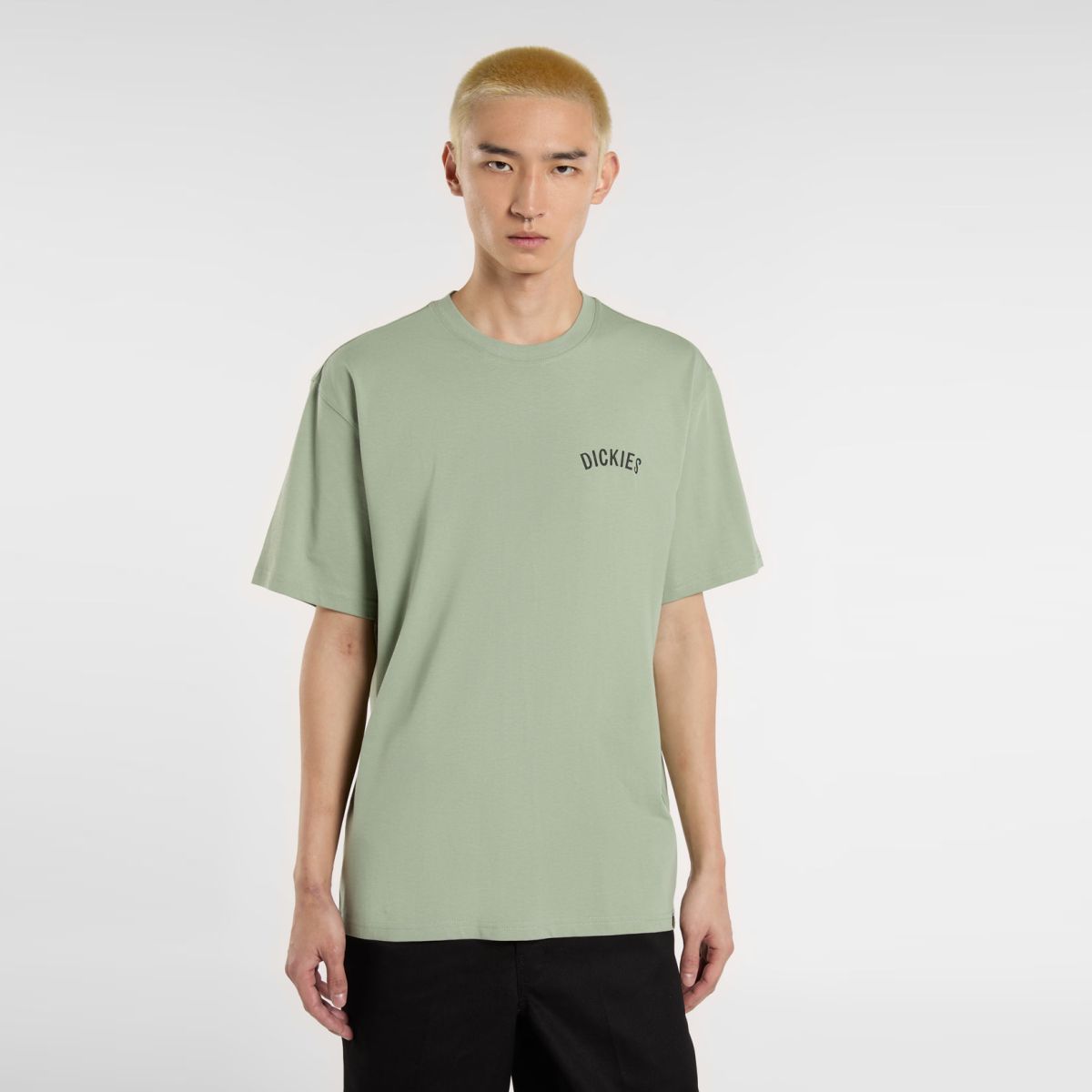 Dickies T-Shirt Dickies Snake Iceberg Green - 3 Dickies T-Shirt Dickies Snake Iceberg Green - 3