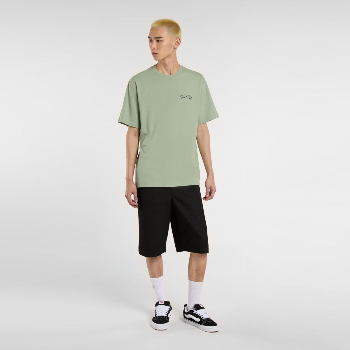 Dickies T-Shirt Dickies Snake Iceberg Green - 4 Dickies T-Shirt Dickies Snake Iceberg Green - 4