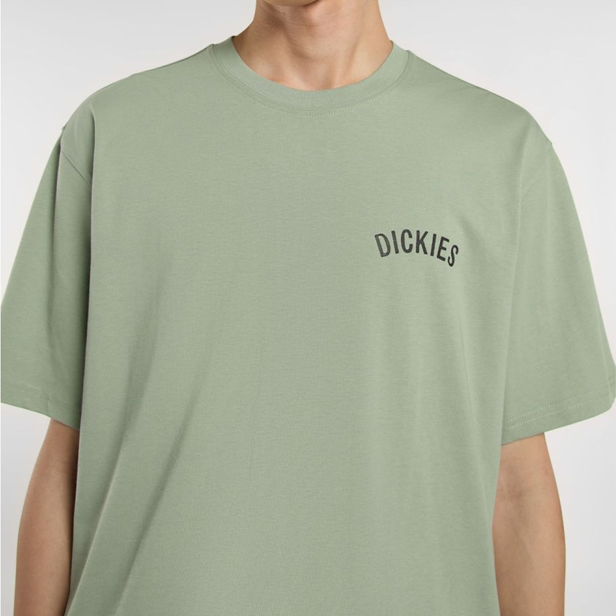 Dickies T-Shirt Dickies Snake Iceberg Green - 5 Dickies T-Shirt Dickies Snake Iceberg Green - 5