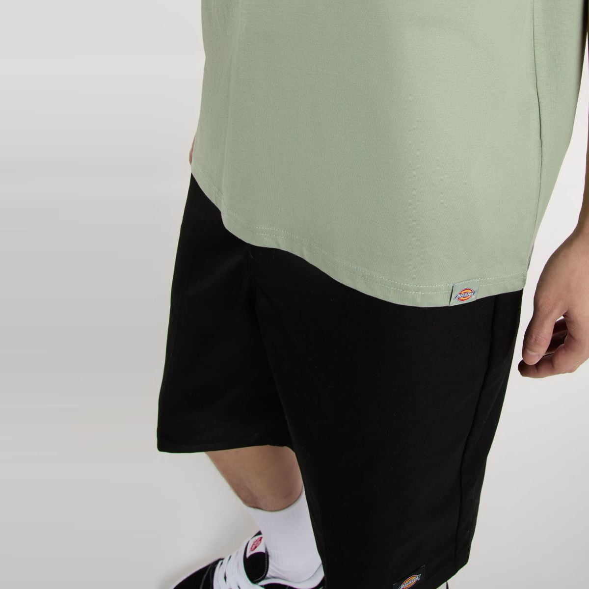 Dickies T-Shirt Dickies Snake Iceberg Green - 6 Dickies T-Shirt Dickies Snake Iceberg Green - 6