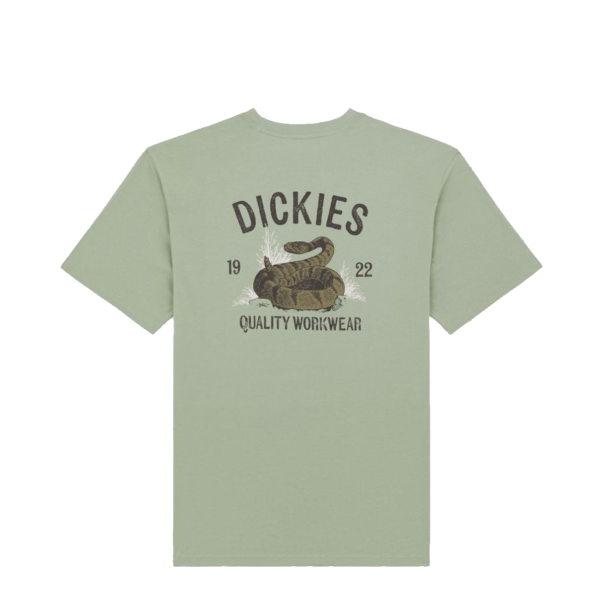 Dickies T-Shirt Dickies Snake Iceberg Green - 7 Dickies T-Shirt Dickies Snake Iceberg Green - 7