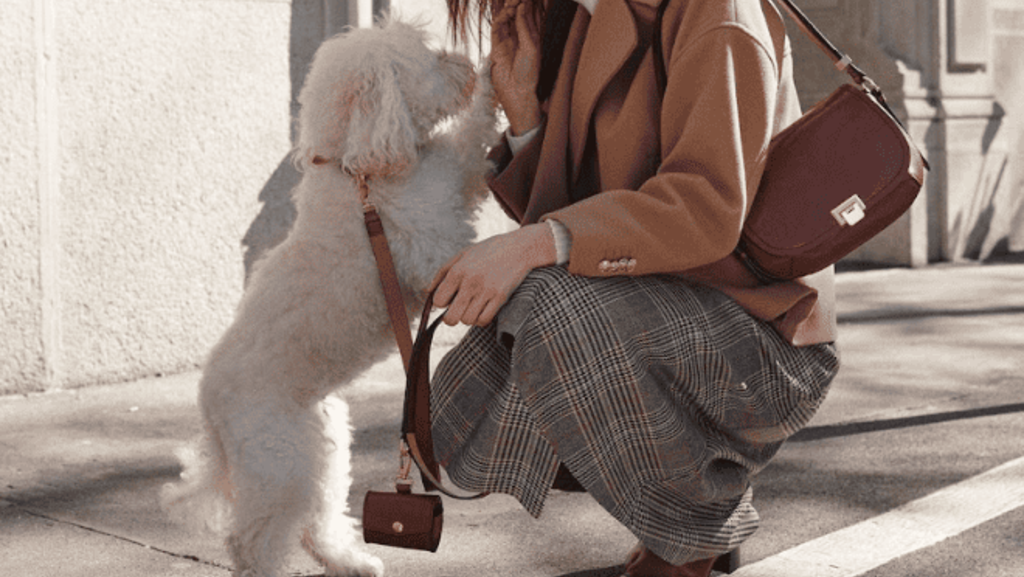 Consigli per abbinamenti outfit cappotto cammello con borse