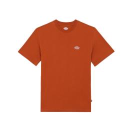 Dickies T-Shirt Summerdale Bombay Brown - 3